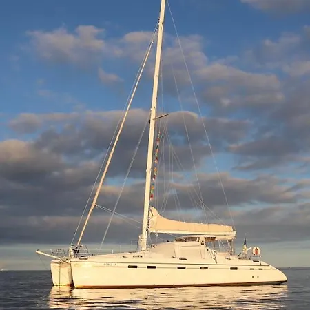 One Catamaran *